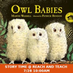 Story Time @ Reach and Teach 7/28 10:00 AM