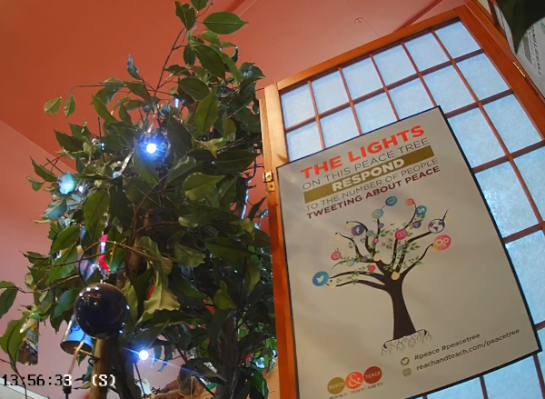 Peace Tree @ Reach and Teach